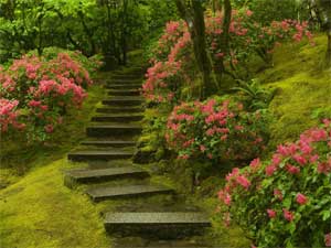Назначение лестниц в саду